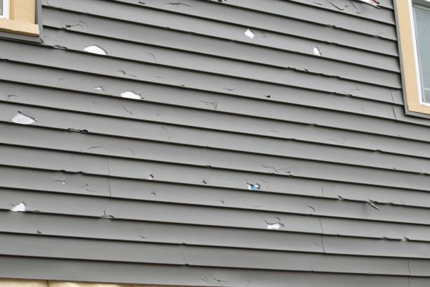 Professional Junk Removal in Cherryville, PA