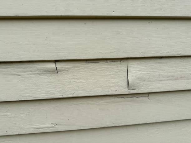 Shed Removal in Cherryville, PA